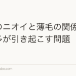 頭皮のニオイと薄毛の関係|皮脂過多が引き起こす問題【2026年】