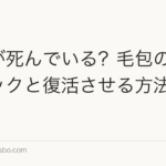 毛根が死んでいる?毛包の状態チェックと復活させる方法【2026年】