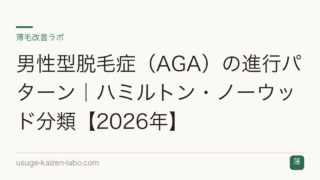 男性型脱毛症（AGA）の進行パターン｜ハミルトン・ノーウッド分類【2026年】