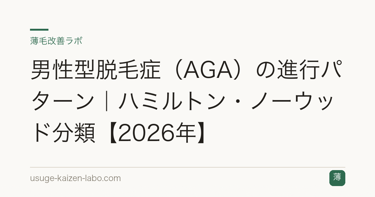 男性型脱毛症（AGA）の進行パターン｜ハミルトン・ノーウッド分類【2026年】