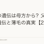 薄毛の遺伝は母方から？父方から？遺伝と薄毛の真実【2026年】