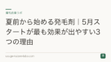 夏前から始める発毛剤｜5月スタートが最も効果が出やすい3つの理由