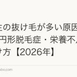 高校生の抜け毛が多い原因|AGA・円形脱毛症・栄養不足の見分け方【2026年】