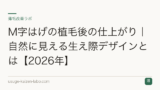 M字はげの植毛後の仕上がり｜自然に見える生え際デザインとは【2026年】
