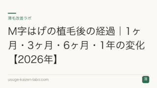 M字はげの植毛後の経過｜1ヶ月・3ヶ月・6ヶ月・1年の変化【2026年】
