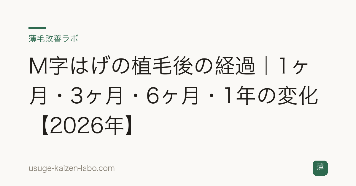 M字はげの植毛後の経過｜1ヶ月・3ヶ月・6ヶ月・1年の変化【2026年】