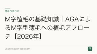 M字植毛の基礎知識｜AGAによるM字型薄毛への植毛アプローチ【2026年】