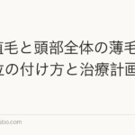 M字植毛と頭部全体の薄毛|優先順位の付け方と治療計画【2026年】