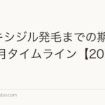 ミノキシジル発毛までの期間｜12ヶ月タイムライン【2026年版】