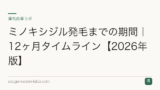 ミノキシジル発毛までの期間｜12ヶ月タイムライン【2026年版】