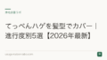 てっぺんハゲを髪型でカバー|進行度別5選【2026年最新】