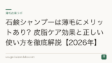 石鹸シャンプーは薄毛にメリットあり？皮脂ケア効果と正しい使い方を徹底解説【2026年】