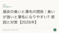 頭皮の臭いと薄毛の関係|臭いが強いと薄毛になりやすい?原因と対策【2026年】