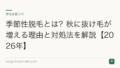 季節性脱毛とは?秋に抜け毛が増える理由と対処法を解説【2026年】