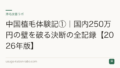 中国植毛体験記①｜国内250万円の壁を破る決断の全記録【2026年版】
