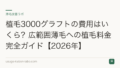 植毛3000グラフトの費用はいくら?広範囲薄毛への植毛料金完全ガイド【2026年】
