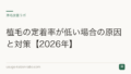 植毛の定着率が低い場合の原因と対策【2026年】