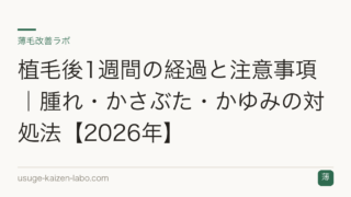 植毛後1週間の経過と注意事項｜腫れ・かさぶた・かゆみの対処法【2026年】