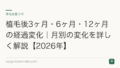 植毛後3ヶ月・6ヶ月・12ヶ月の経過変化|月別の変化を詳しく解説【2026年】