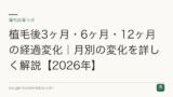 植毛後3ヶ月・6ヶ月・12ヶ月の経過変化｜月別の変化を詳しく解説【2026年】
