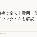 眉毛植毛の全て|費用・仕上がり・ダウンタイムを解説【2026年】
