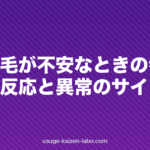 初期脱毛が不安なときの考え方|正常な反応と異常のサイン