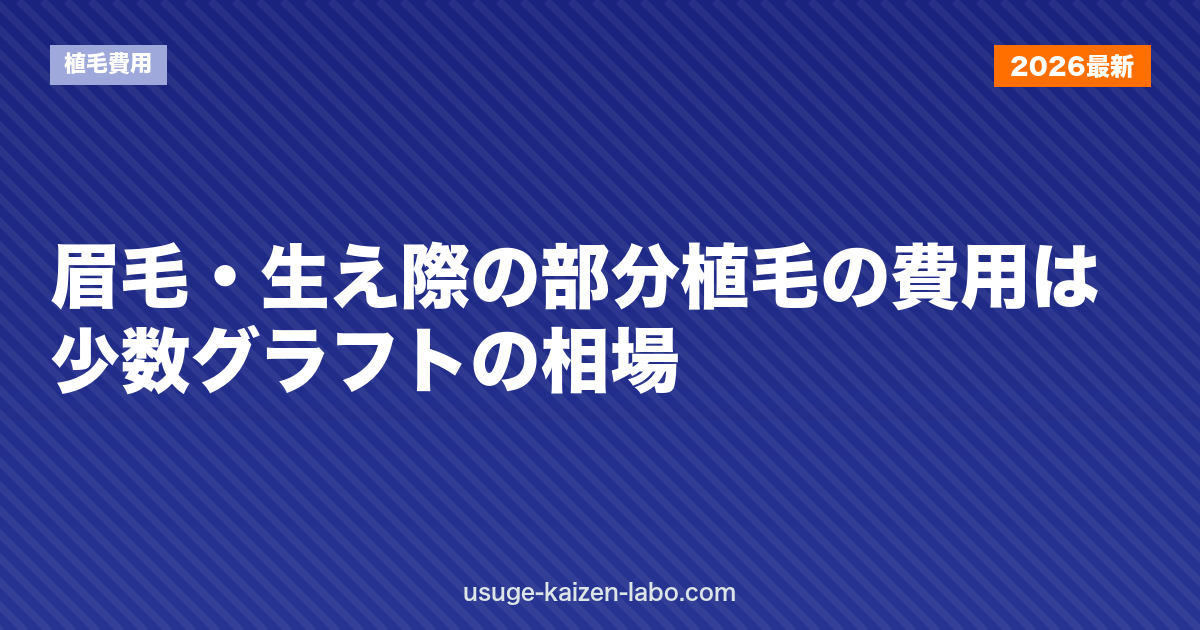 眉毛・生え際の部分植毛の費用は？少数グラフトの相場