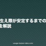 植毛後の生え際が安定するまでの期間とNG行動を解説