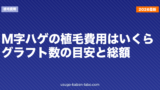 M字ハゲの植毛費用はいくら？グラフト数の目安と総額