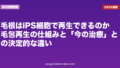 毛根はiPS細胞で再生できるのか|毛包再生の仕組みと「今の治療」との決定的な違い【2026年版】
