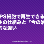 毛根はiPS細胞で再生できるのか｜毛包再生の仕組みと「今の治療」との決定的な違い【2026年版】