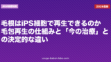 毛根はiPS細胞で再生できるのか｜毛包再生の仕組みと「今の治療」との決定的な違い【2026年版】