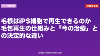 毛根はiPS細胞で再生できるのか｜毛包再生の仕組みと「今の治療」との決定的な違い【2026年版】