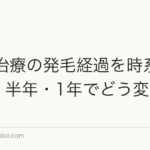 AGA治療の発毛経過を時系列で解説|半年・1年でどう変わる