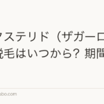デュタステリド（ザガーロ）の初期脱毛はいつから？期間と対処法