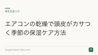 エアコンの乾燥で頭皮がカサつく季節の保湿ケア方法