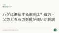 ハゲは遺伝する確率は?母方・父方どちらの影響が強いか解説