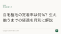 自毛植毛の定着率は何%?生え揃うまでの経過を月別に解説
