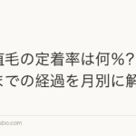自毛植毛の定着率は何%?生え揃うまでの経過を月別に解説
