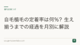 自毛植毛の定着率は何％？生え揃うまでの経過を月別に解説