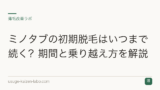 ミノタブの初期脱毛はいつまで続く？期間と乗り越え方を解説