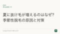 夏に抜け毛が増えるのはなぜ?季節性脱毛の原因と対策
