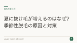 夏に抜け毛が増えるのはなぜ？季節性脱毛の原因と対策