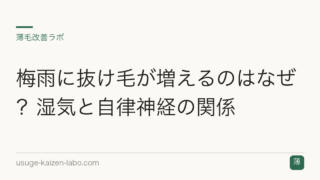 梅雨に抜け毛が増えるのはなぜ？湿気と自律神経の関係