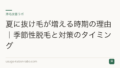 夏に抜け毛が増える時期の理由|季節性脱毛と対策のタイミング