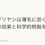 ノコギリヤシは薄毛に効く?サプリの効果と科学的根拠を検証