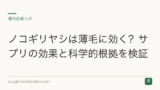 ノコギリヤシは薄毛に効く？サプリの効果と科学的根拠を検証