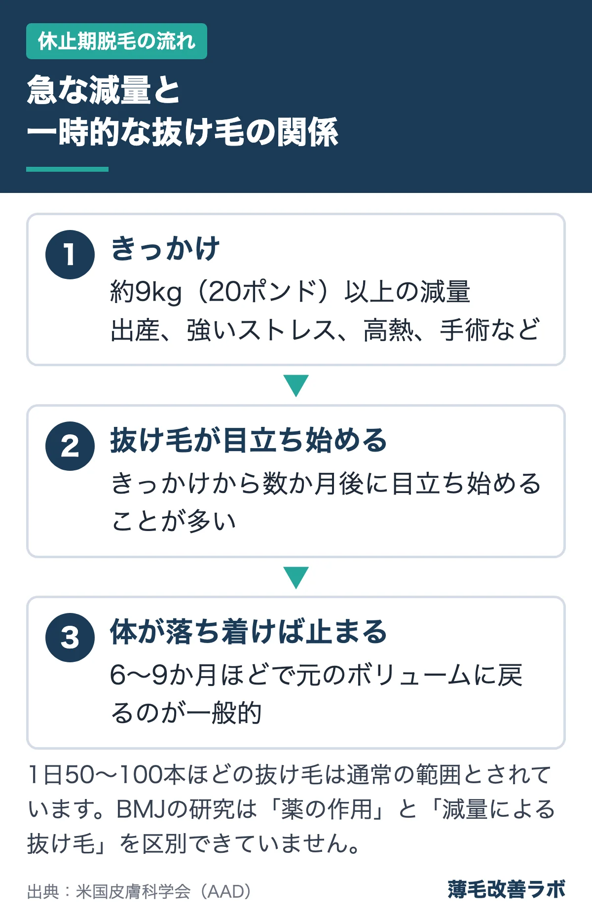 急な減量と一時的な抜け毛の関係(休止期脱毛の流れの図解)